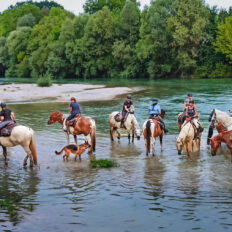The Champagne Ride, France - Globetrotting horse riding holidays