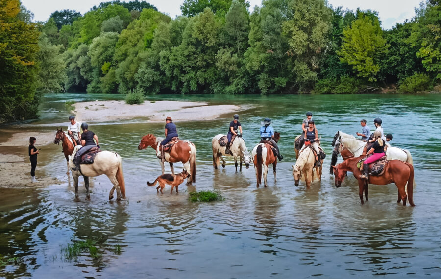 The Champagne Ride, France - Globetrotting horse riding holidays