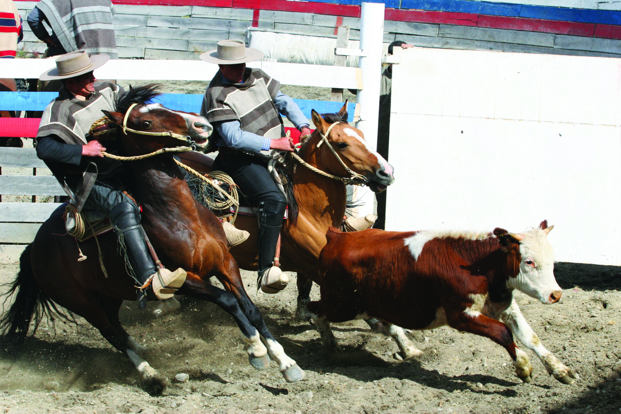 Chilean Huasos in Chilean Rodeo - Torres del Paine estancia ride, Chile - Globetrotting horse riding holidays
