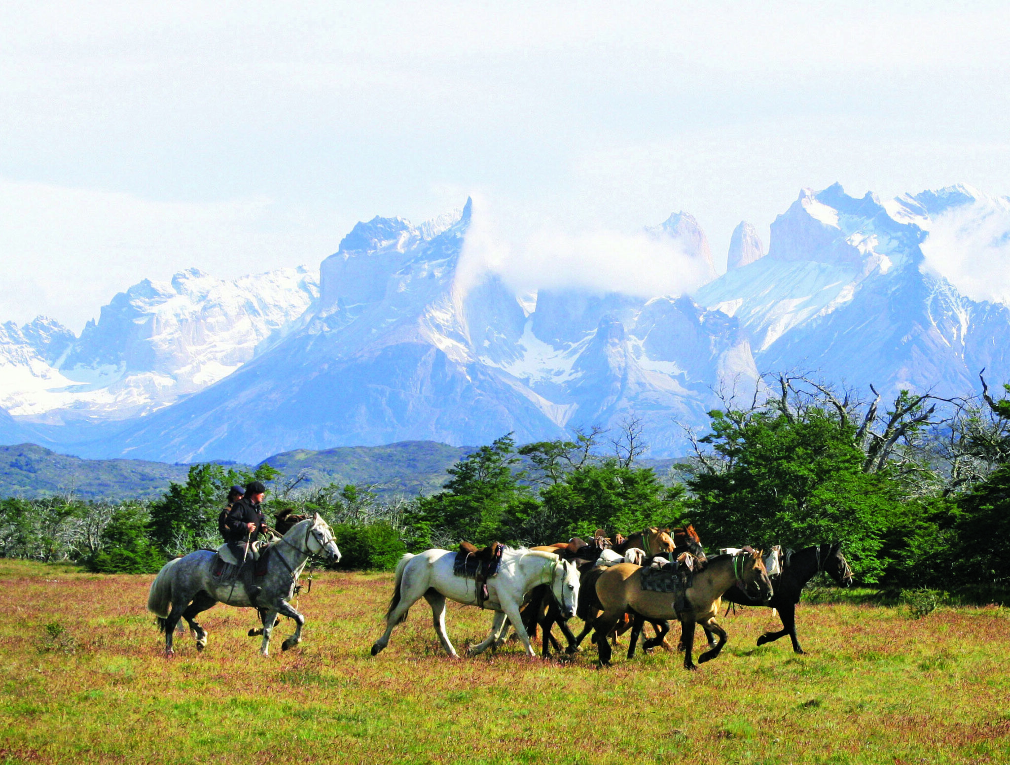 Chilean Huasos - estancia ride in Torres del Paine, Chile - Globetrotting horse riding holidays