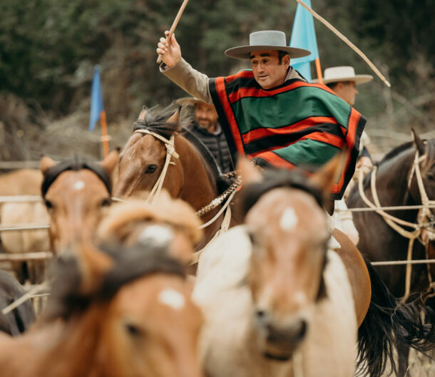 Chilean Huasos in Chilean Rodeo - image by Pablo Rogat/Shutterstock.com - Globetrotting horse riding holidays