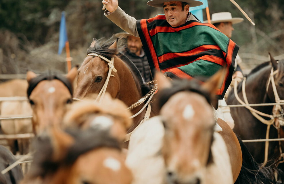 Chilean Huasos in Chilean Rodeo - image by Pablo Rogat/Shutterstock.com - Globetrotting horse riding holidays