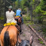 Big Horn Cattle Drive, USA - Globetrotting horse riding holidays