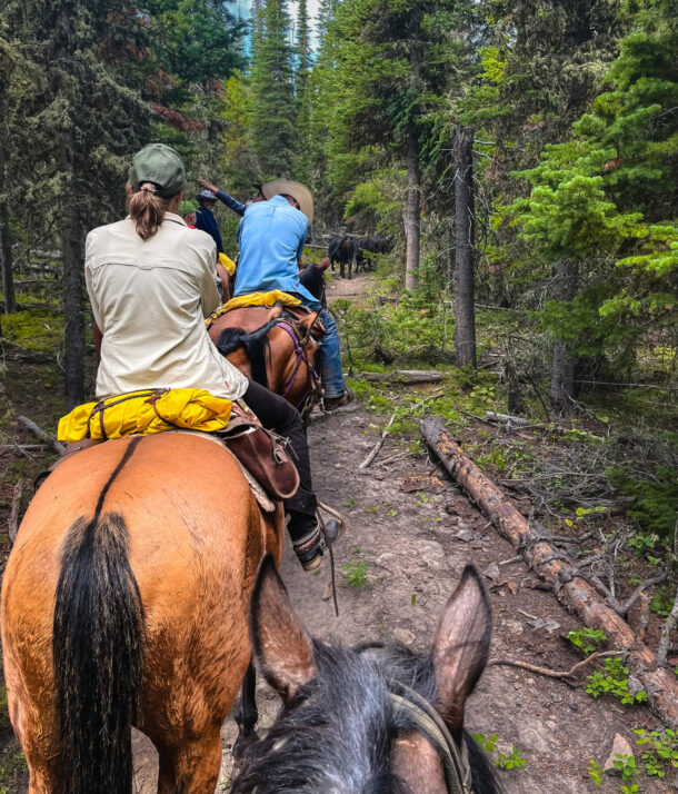 Big Horn Cattle Drive, USA - Globetrotting horse riding holidays
