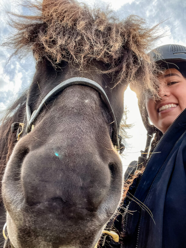 Wilderness Expedition, Iceland - Globetrotting horse riding holidays