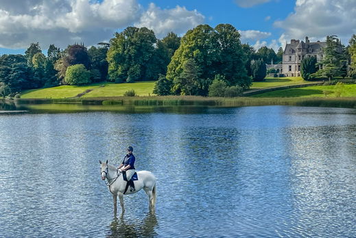 Castle & Estate Ride, Ireland - Globetrotting horse riding holidays