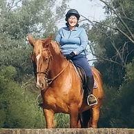 Dressage in Andalusia, Spain - Globetrotting horse riding holidays