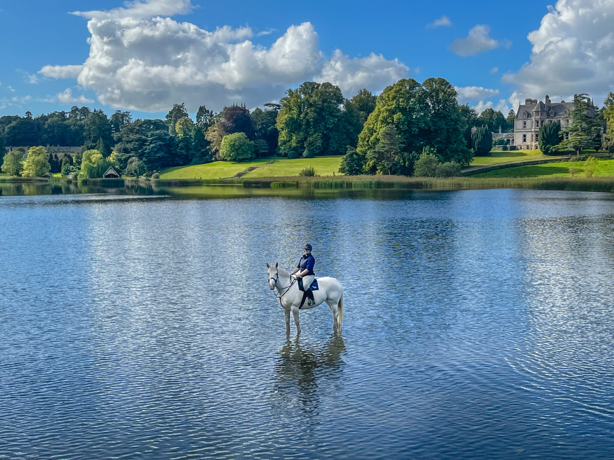 Feedback on the Castle & Estate Ride, Ireland - Globetrotting horse riding holidays