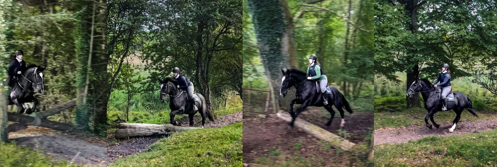 Feedback on the Castle & Estate Ride, Ireland - Globetrotting horse riding holidays