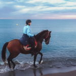 Catalan Coast Trail, Spain - Globetrotting horse riding holidays
