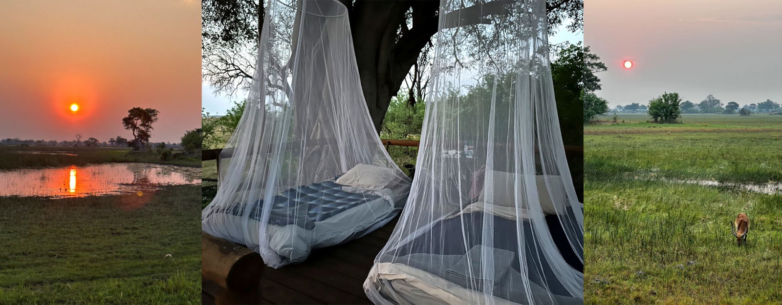 Okavango Delta Safari, Botswana - Globetrotting horse riding holidays