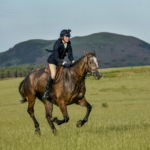 The Scottish Borders Ride, Scotland - Globetrotting horse riding holidays