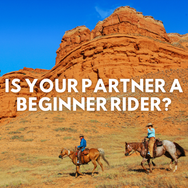 Is your partner a beginner rider? - Globetrotting horse riding holidays