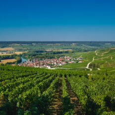The Champagne Ride, France - Globetrotting horse riding holidays