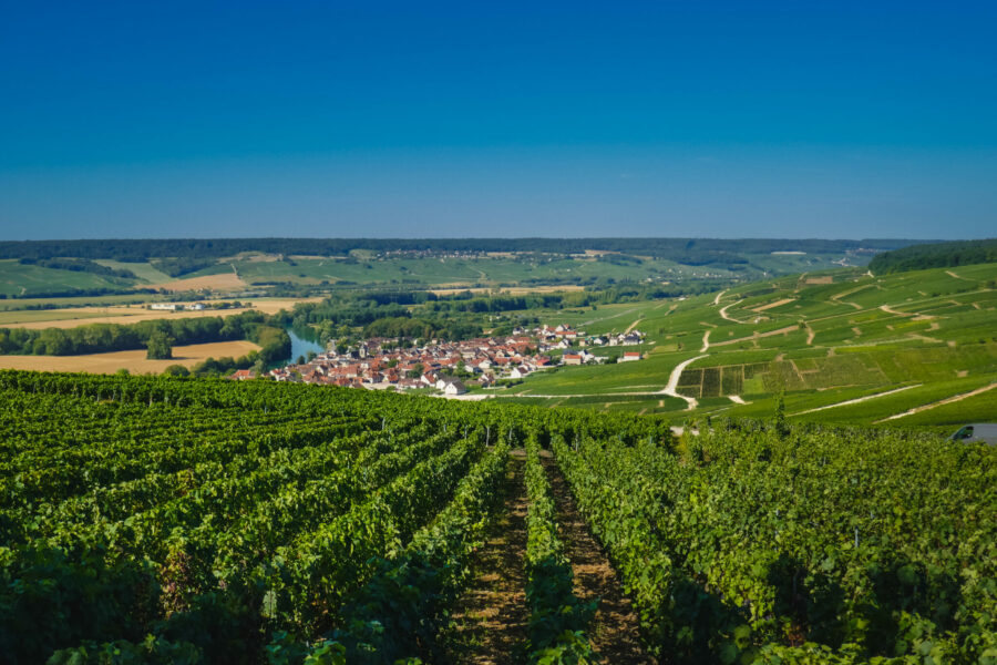 The Champagne Ride, France - Globetrotting horse riding holidays