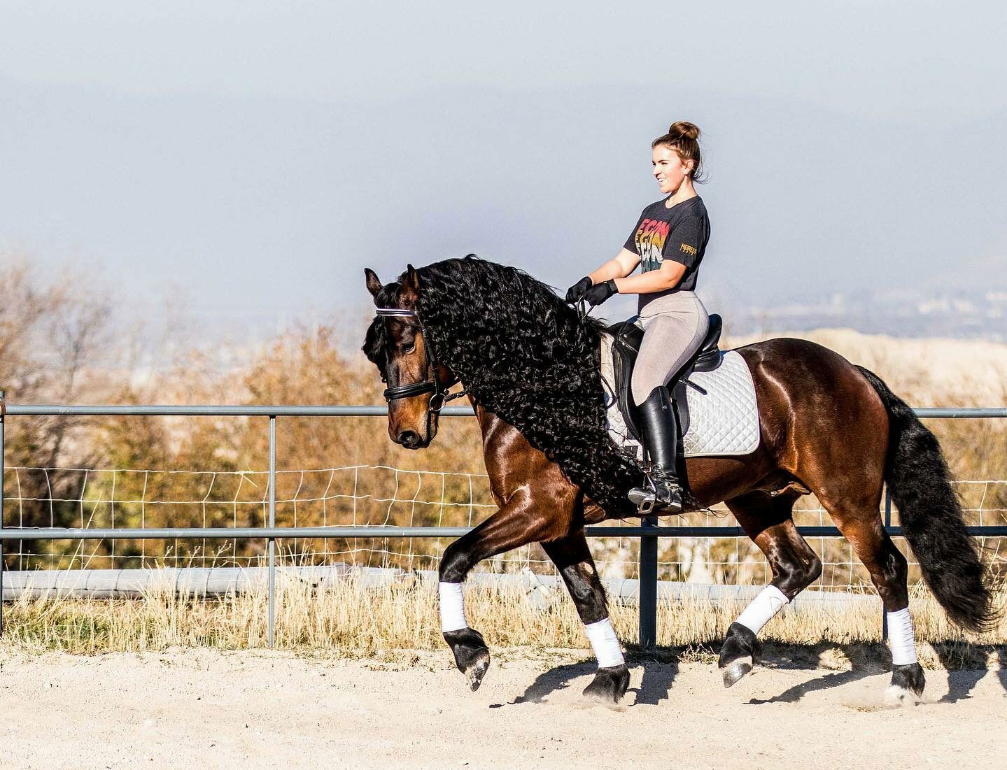 Horse Breed: Warlander - image by Kaitlyn Gunther / Imperial Kings Stables - Globetrotting horse riding holidays
