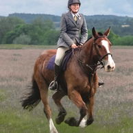 The Scottish Borders Ride, Scotland - Globetrotting horse riding holidays