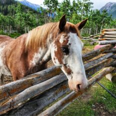 CHILKO LAKE RIDE, BC, CANADA