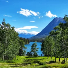 CHILKO LAKE RIDE, BC, CANADA Globetrotting horse riding holidays