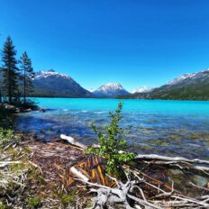 CHILKO LAKE RIDE, BC, CANADA Globetrotting horse riding holidays