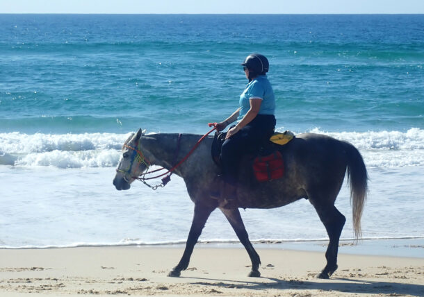Rainbow Beach, Bush & Cattle Ride, Queensland, Australia - Globetrotting horse riding holidays