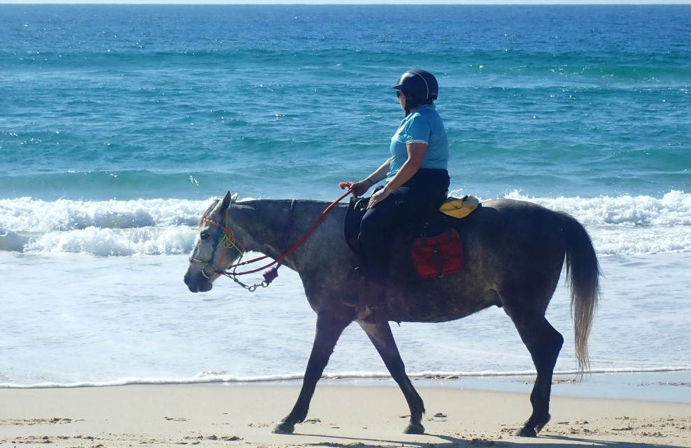 Rainbow Beach, Bush & Cattle Ride, Queensland, Australia - Globetrotting horse riding holidays