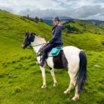 The River Valley Ride, North Island, New Zealand - Globetrotting horse riding holidays
