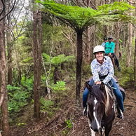 Twin Coast Adventure, New Zealand - Globetrotting horse riding holidays