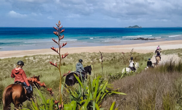 Twin Coast Adventure, North Island, New Zealand - Globetrotting horse riding holidays