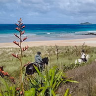 Twin Coast Adventure, North Island, New Zealand - Globetrotting horse riding holidays