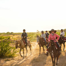 The Marwari Ride, India - Globetrotting horse riding holidays