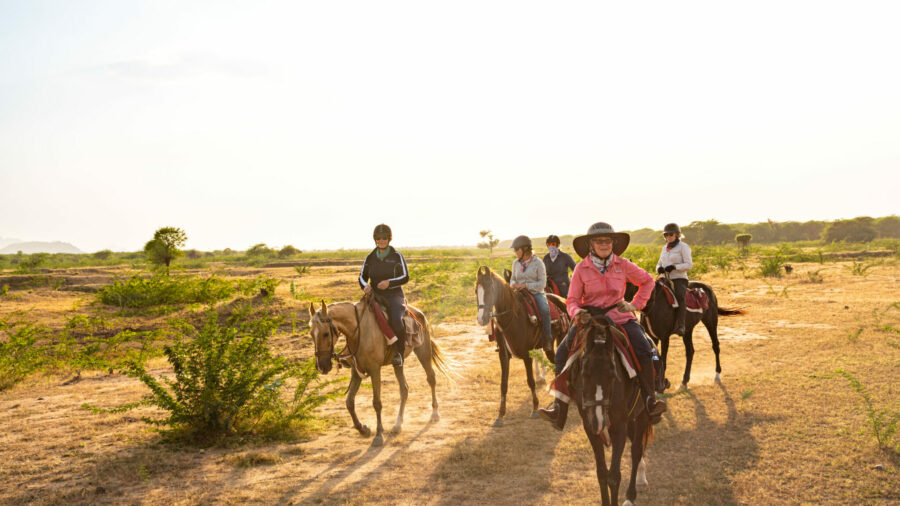 The Marwari Ride, India - Globetrotting horse riding holidays