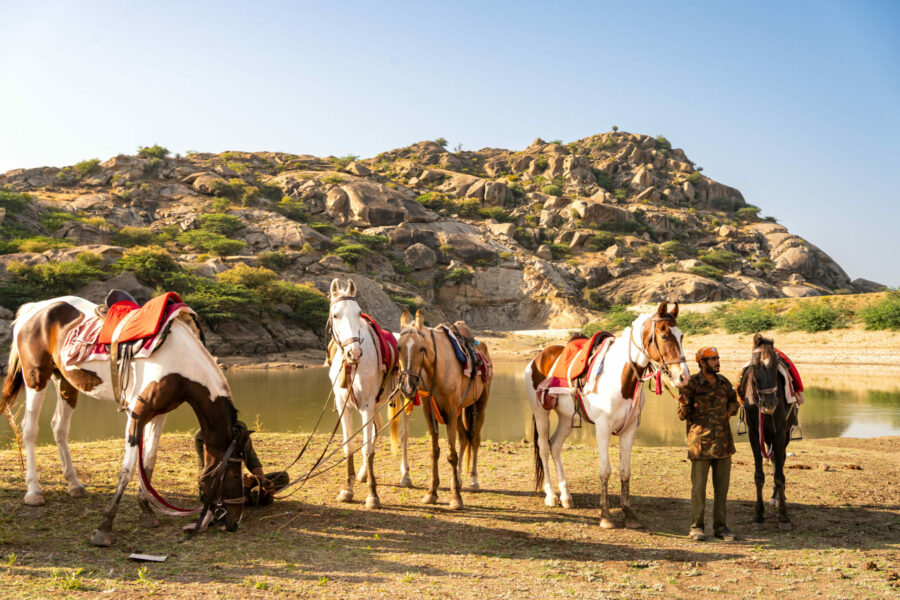 The Marwari Ride, India - Globetrotting horse riding holidays