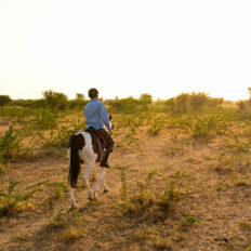 The Marwari Ride, India - Globetrotting horse riding holidays