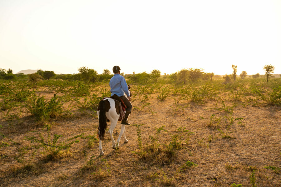 The Marwari Ride, India - Globetrotting horse riding holidays