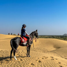 The Marwari Ride, India - Globetrotting horse riding holidays