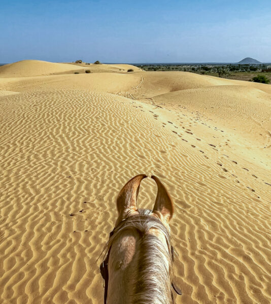 The Marwari Ride, India - Globetrotting horse riding holidays