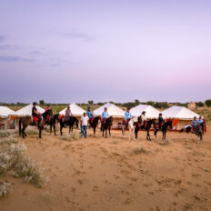 The Marwari Ride, India - Globetrotting horse riding holidays