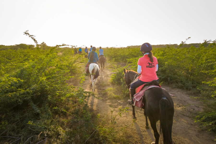 The Marwari Ride, India - Globetrotting horse riding holidays
