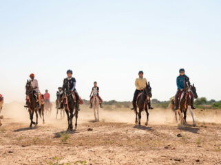 The Marwari Ride, India - Globetrotting horse riding holidays