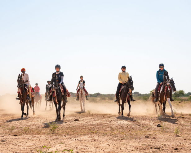 The Marwari Ride, India - Globetrotting horse riding holidays