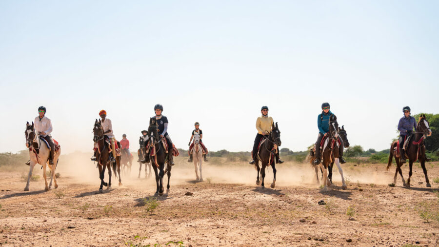 The Marwari Ride, India - Globetrotting horse riding holidays