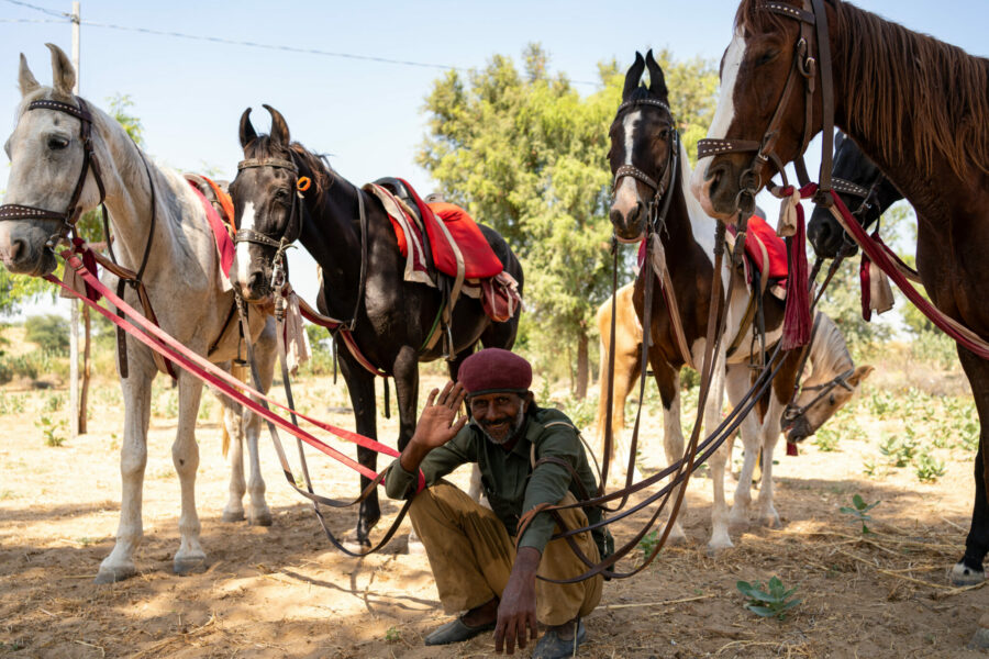 The Marwari Ride, India - Globetrotting horse riding holidays