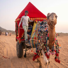 The Marwari Ride, India - Globetrotting horse riding holidays