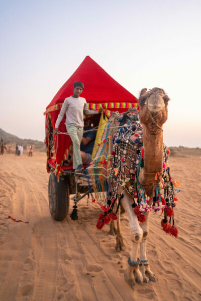 The Marwari Ride, India - Globetrotting horse riding holidays