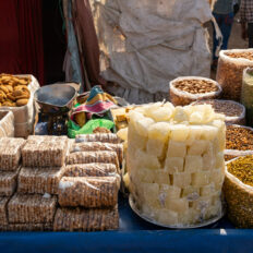 The Marwari Ride, India - Globetrotting horse riding holidays