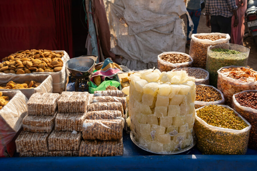 The Marwari Ride, India - Globetrotting horse riding holidays