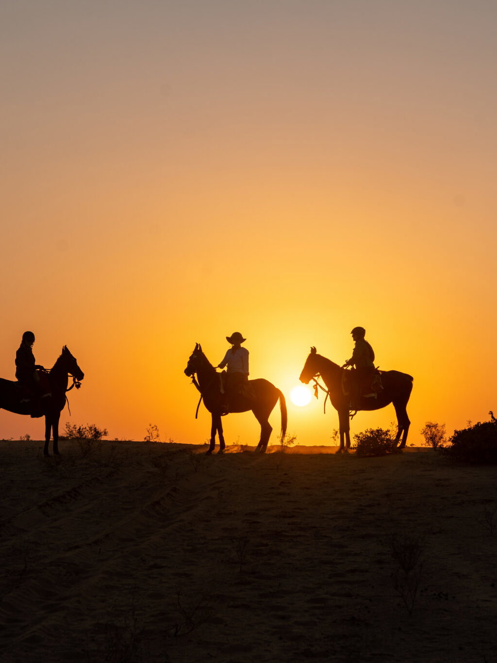 The Marwari Ride, India - Globetrotting horse riding holidays