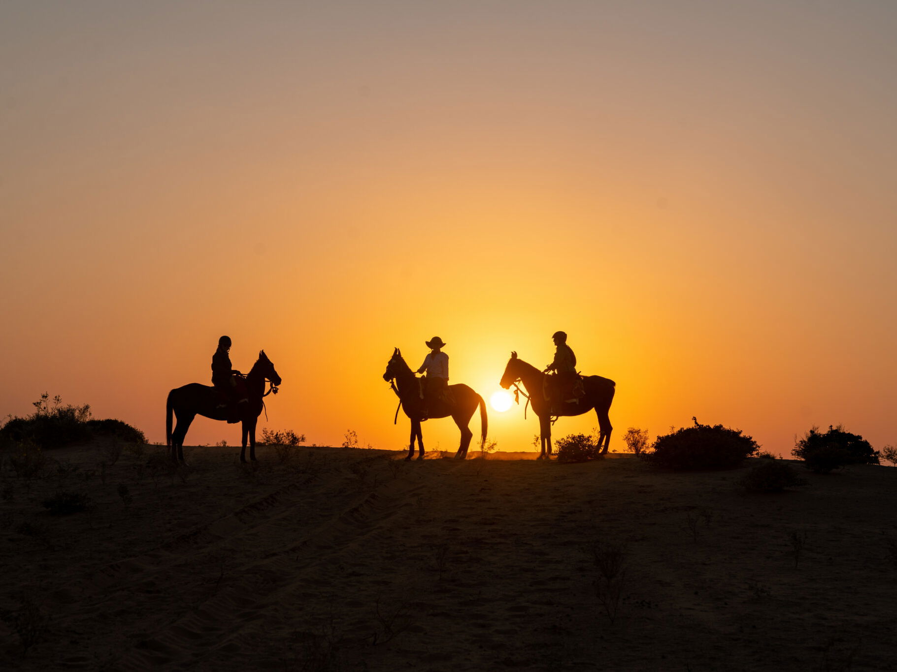 The Marwari Ride, India - Globetrotting horse riding holidays