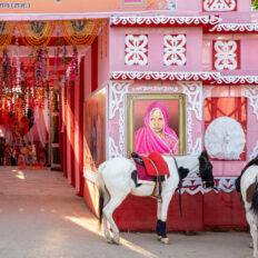 The Marwari Ride, India - Globetrotting horse riding holidays